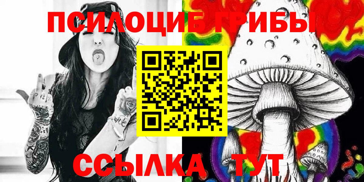 Псилоцибиновые грибы прущие грибы  Вход с VPN  Протвино 